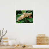 Magische Moth Print (Keuken)