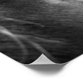 Magische paarden zwart-wit poster (Hoek)