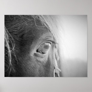 Magische paarden zwart-wit poster