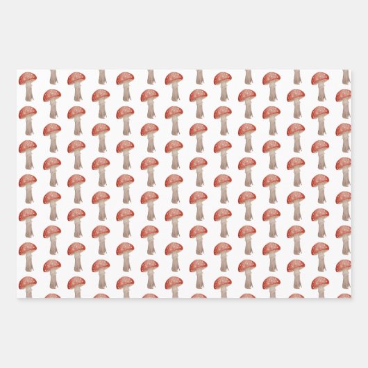 Magische paddenstoel Toadstool Verpakkingspapier Inpakpapier Vel (Voorkant)