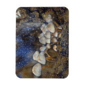 Magische paddenstoelen magneet (Verticaal)