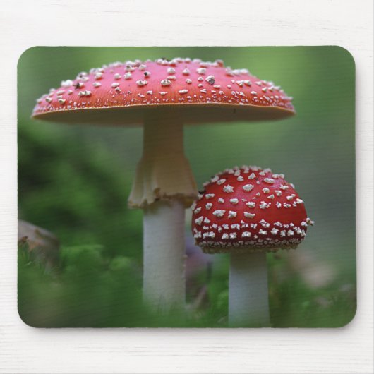 Magische paddenstoelen muismat (Voorkant)