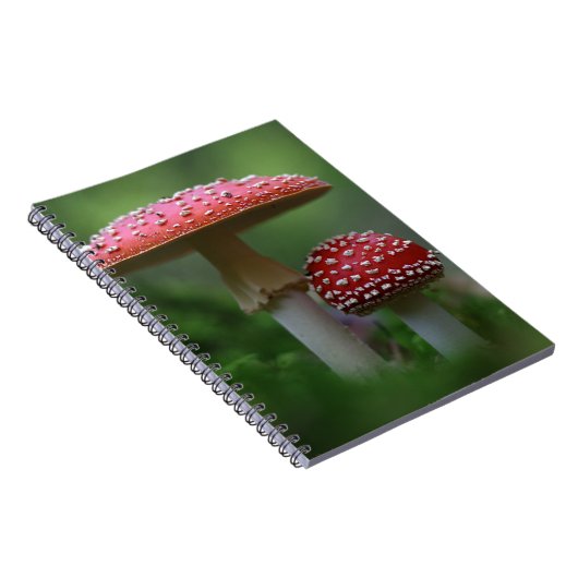 Magische paddenstoelen notitieboek (Rechterzijde)
