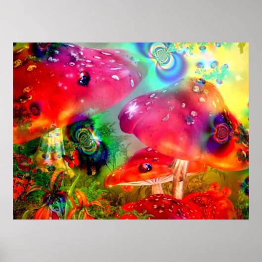 Magische paddenstoelen - Poster (Voorkant)