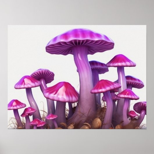 Magische paddenstoelen poster (Voorkant)