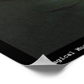 Magische paddenstoelen poster (Hoek)