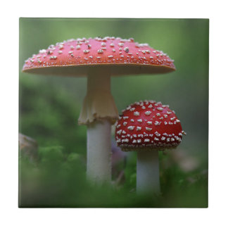Magische paddenstoelen tegeltje