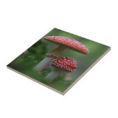 Magische paddenstoelen tegeltje (Zijkant)