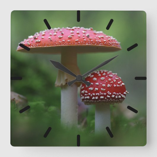 Magische paddenstoelen vierkante klok (Voorkant)