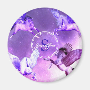 Magische Pegasus Universe. Magneet