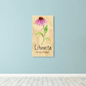 Magische Planten Echinacea 13,22 x 25,52' Canvas (Insitu (Houten vloer))