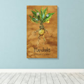 Magische Planten Mandrake 12,84' x 21,93' Canvas Afdruk (Insitu (Houten vloer))