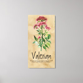 Magische Planten Valeriaans 21.29'' x 42.05'' Canv Canvas Afdruk