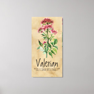 Magische Planten Valerian Canvas 21,29 x 42,05 inc Afdruk