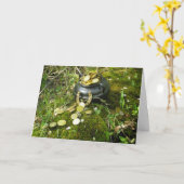 "Magische potje goud!" Kaart (Gele Bloem)