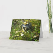 "Magische potje goud!" Kaart (Voorkant)