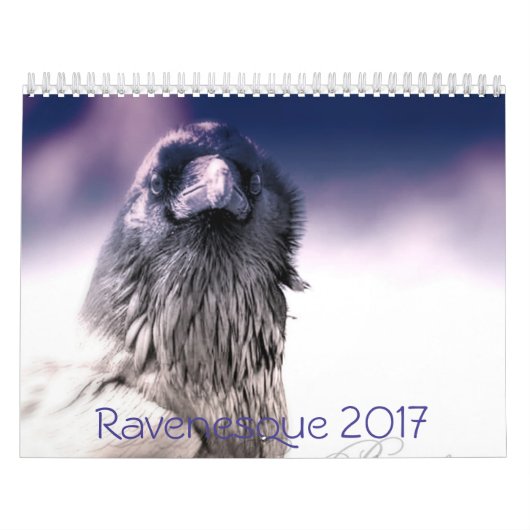 Magische Raven Calendar 2017 Kalender (Hoes)