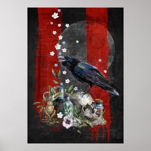 Magische Raven Time Poster (Voorkant)