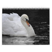 Magische scheuren 2011 kalender (Hoes)