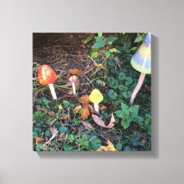 Magische Tuin met Paddenstoelen Fotocanvasprint Canvas Afdruk