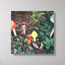 Magische Tuin met Paddenstoelen Fotocanvasprint