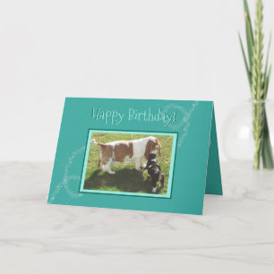 Magische verjaardagskaart (Basset Hounds) Kaart