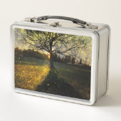 Magische vuurvliegjes droomachtig landschap (Voorkant)