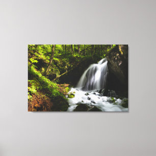 Magische waterval in betoverend groen bos canvas afdruk