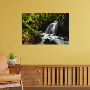 Magische waterval in betoverend groen bos poster
