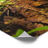 Magische waterval in betoverend groen bos poster (Hoek)