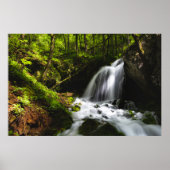 Magische waterval in betoverend groen bos poster (Voorkant)