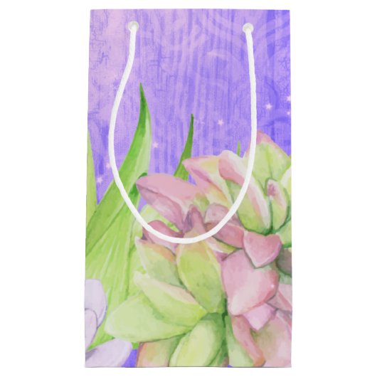 Magische Waterverf Succulair Paars Klein Cadeauzakje (Voorkant)