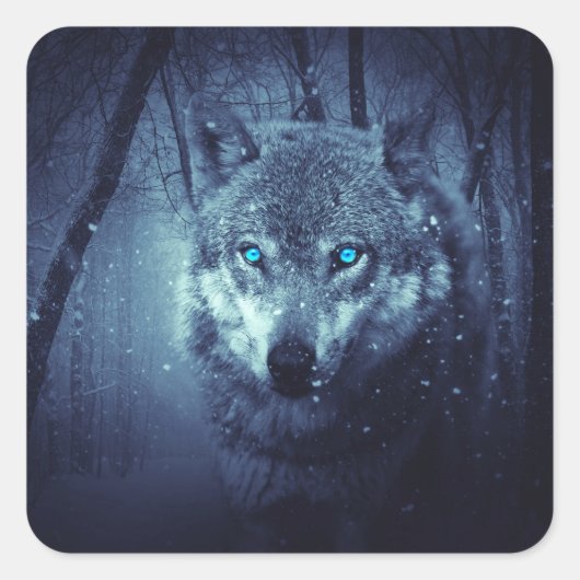 Magische Wilde Wolf met Amazing Blue Eyes Vierkante Sticker (Voorkant)