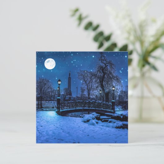 Magische winternacht met sterrenhemel en volle maa (Staand voorkant)