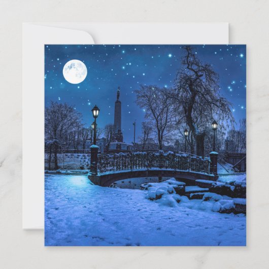 Magische winternacht met sterrenhemel en volle maa (Voorkant)