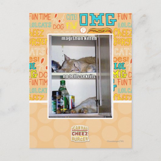 Magishun Kitteh Briefkaart (Voorkant)