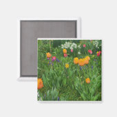 Magneet (Voorkant / Achterkant)