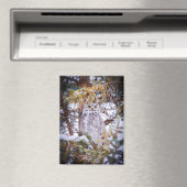 Magneet (Insitu (Vaatwasser))