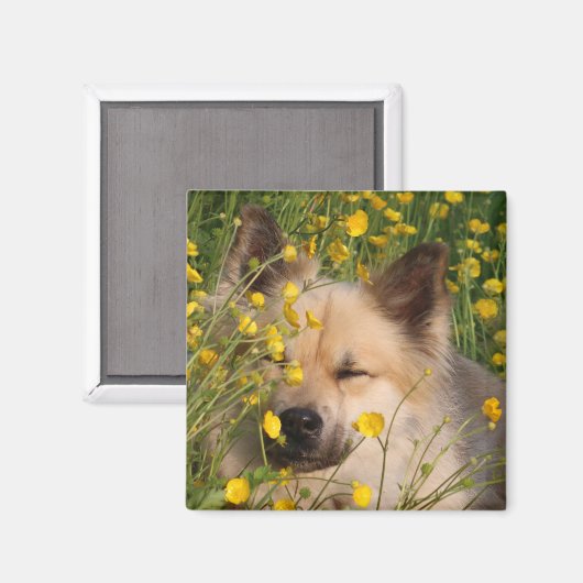 Magneet (Voorkant / Achterkant)