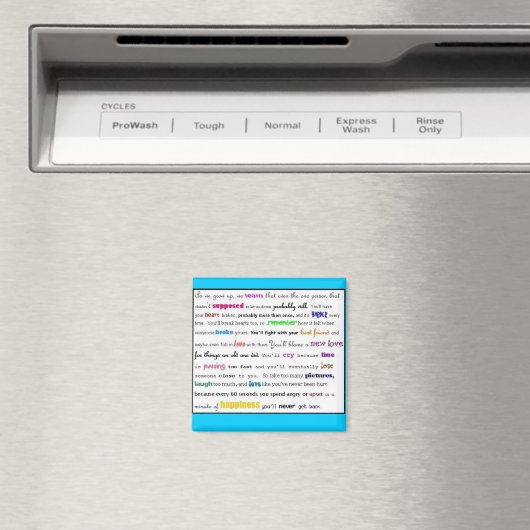 magneet (Insitu (Vaatwasser))