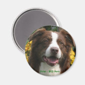 magneet (Voorkant / Achterkant)