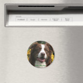 magneet (Insitu (Vaatwasser))