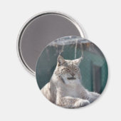 MAGNEET 09 (Voorkant / Achterkant)