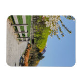 Magneet - achtergrond van Walter's peak (Horizontaal)