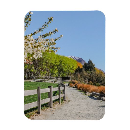 Magneet - achtergrond van Walter's peak (Verticaal)