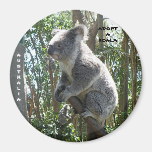 Magneet Adopt A Koala Australië ZIZZAGO