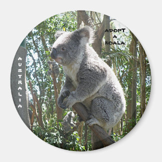 Magneet Adopt A Koala Australië ZIZZAGO