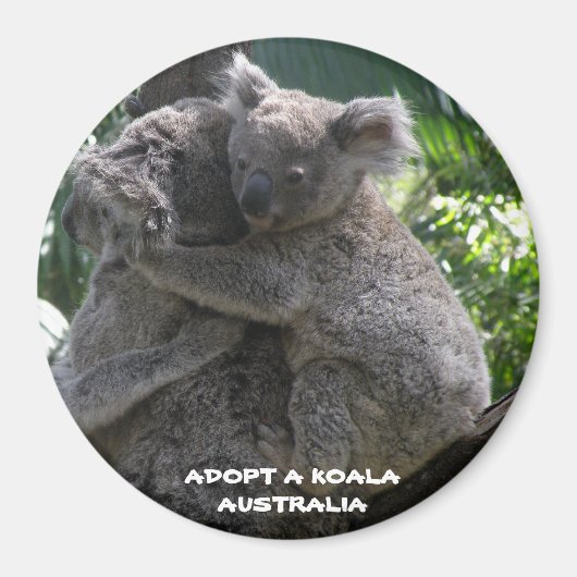 Magneet Adopteer een Koala Australia ZIZZAGO (Voorkant)