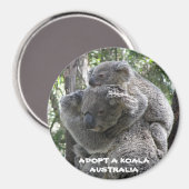 Magneet Adopteer een Koala Australia ZIZZAGO (Voorkant / Achterkant)