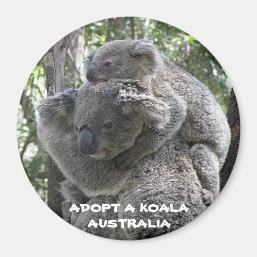 Magneet Adopteer een Koala Australia ZIZZAGO (Voorkant)